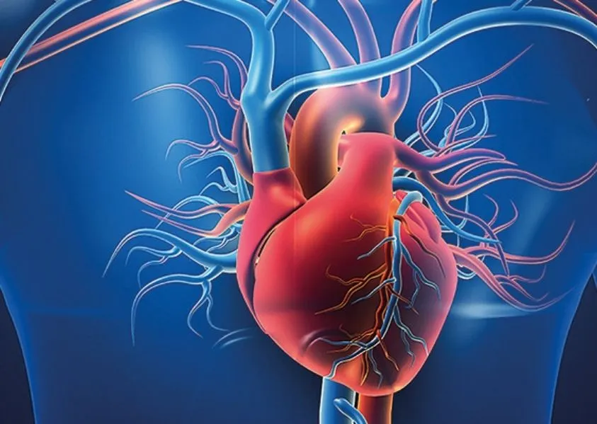 2025’te Kalp Damar H...