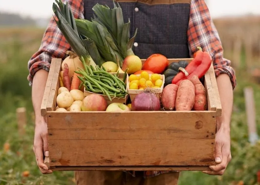 Organik Alışveriş Re...