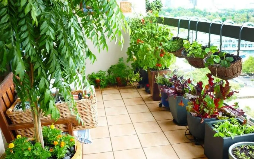 Hobi Bahçeciliği ve ...