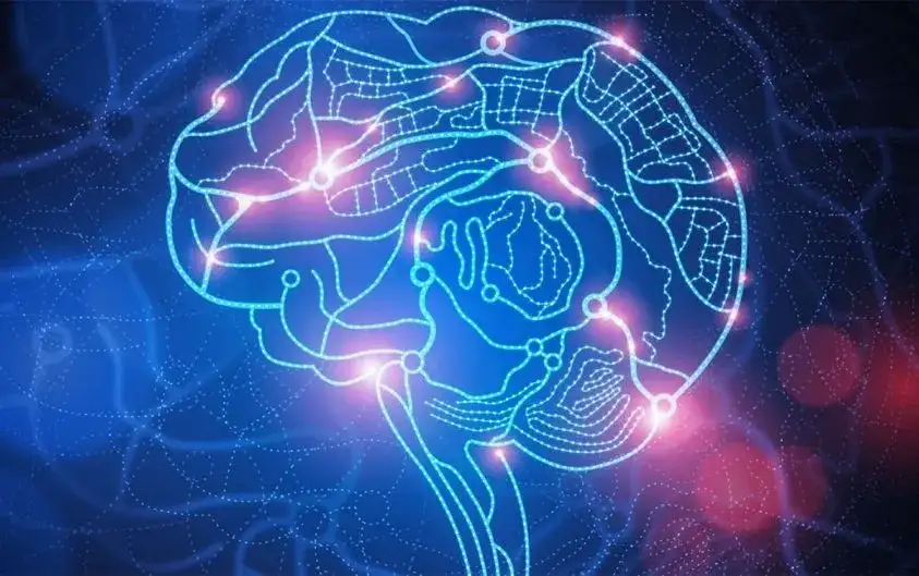 Türkiye’de Zihinsel ...